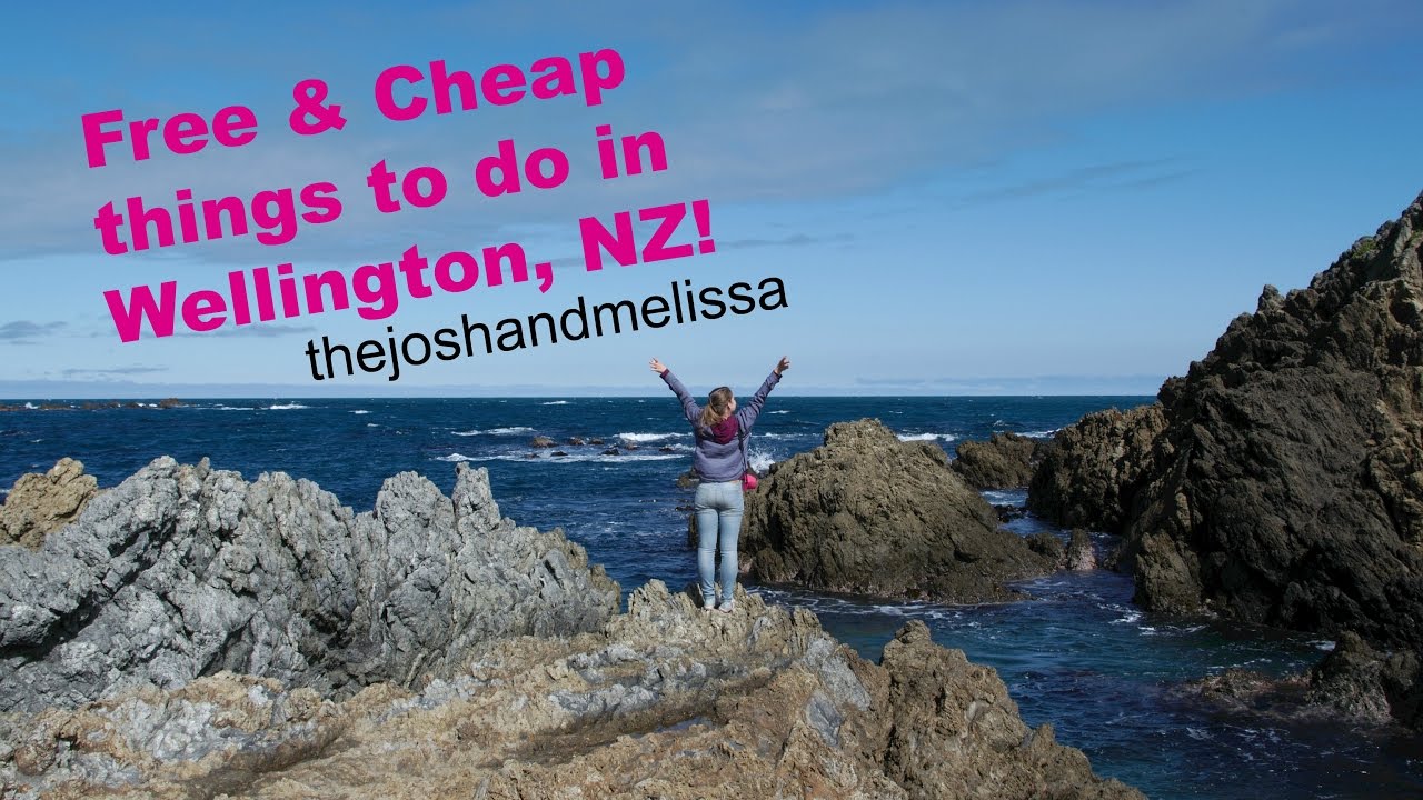 What To See And Do In Wellington New Zealand