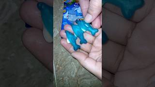 Mini Dolphin Jelly