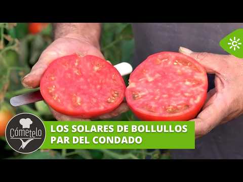 Cómetelo | Los “solares”, un punto de encuentro vecinal y de cultivo de productos de temporada