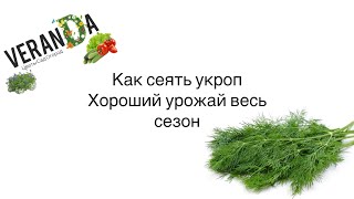 СЕЙТЕ УКРОП ТАК укроп взойдет щеткой #урожай #дача #огород  #укроп