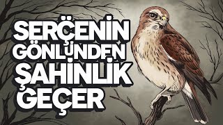 Serçenin Gönlünden Şahinlik Geçer - Köroğlu Şarkıları (Saygıyla)