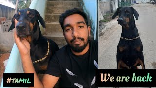 We Are Back | Come Back  | Doberman | Eric | TAMIL | RAGUL RAM | by Ragul Ram 1,095 views 1 year ago 3 minutes, 19 seconds