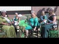 Ultimate Elite Pageant 2019 St Patricks Day Participants and platforms
