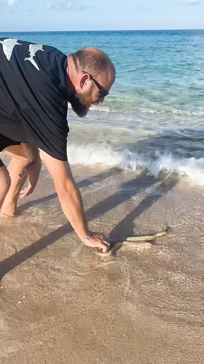 VENOMOUS Sea Snake Rescue | NCS.62 #fishingaustralia #westernaustralia #aussieoutdoors