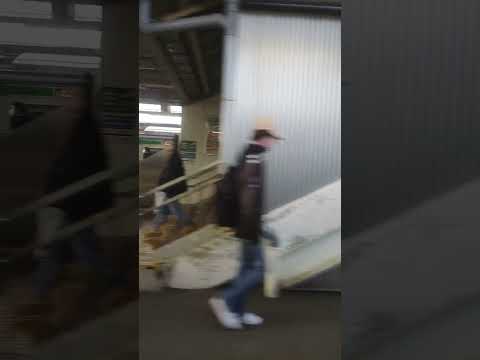 【戸塚駅】東海道線 熱海行きとほぼ同時発車の横須賀線 逗子行き  Totsuka