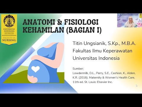 Anatomi dan Fisiologi Kehamilan Bagian I