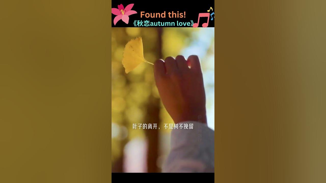 Beautiful Music! Autumn Love Tiktok sammichow08
