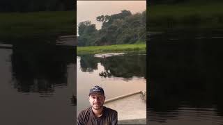 jacaré Açu foi pra cima do barco #pescaria