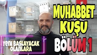Muhabbet Kuşu Üreti̇mi̇ -Muhabbet Kuşu Üretimine Yeni Başlayacaklar - Bölüm 1