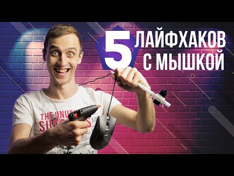 5 лайфхаков, которые продлят жизнь мышке