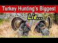 The biggest lie in turkey hunting