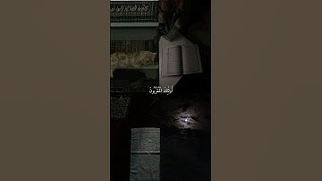 قرآن كريم راحة نفسية 🤍#مالي_خلق_احط_هاشتاقات #اكسبلور #لايك #قران_كريم #quran #راحة_نفسية
