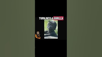 Could you beat a robot with a banana 🍌