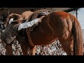 Prueba de Trabajo Petisos | Expo Rural 2025