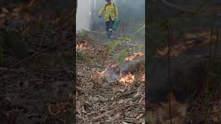 Hazard reduction smoke impact