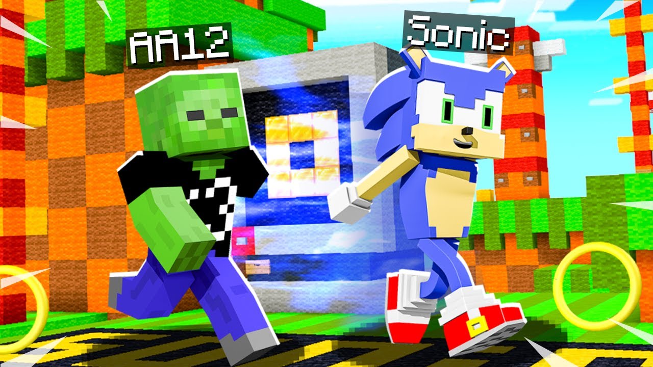 This SONIC MINECRAFT SERVER Is INSANE!!! (Sonic Hive Update) - YouTube