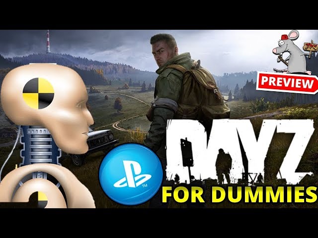 DayZ - PlayStation 4, PlayStation 4