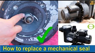 How to change a universal mechanical shaft seal, impeller, o-ring on an Eartheco & Quality pool pump by ecologicaltime 2,778 views 4 months ago 7 minutes, 13 seconds