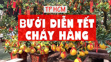 Bưởi diễn những ngày cận tết hút hàng tại TP HCM
