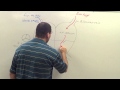 Understanding the Four-Chambered Heart