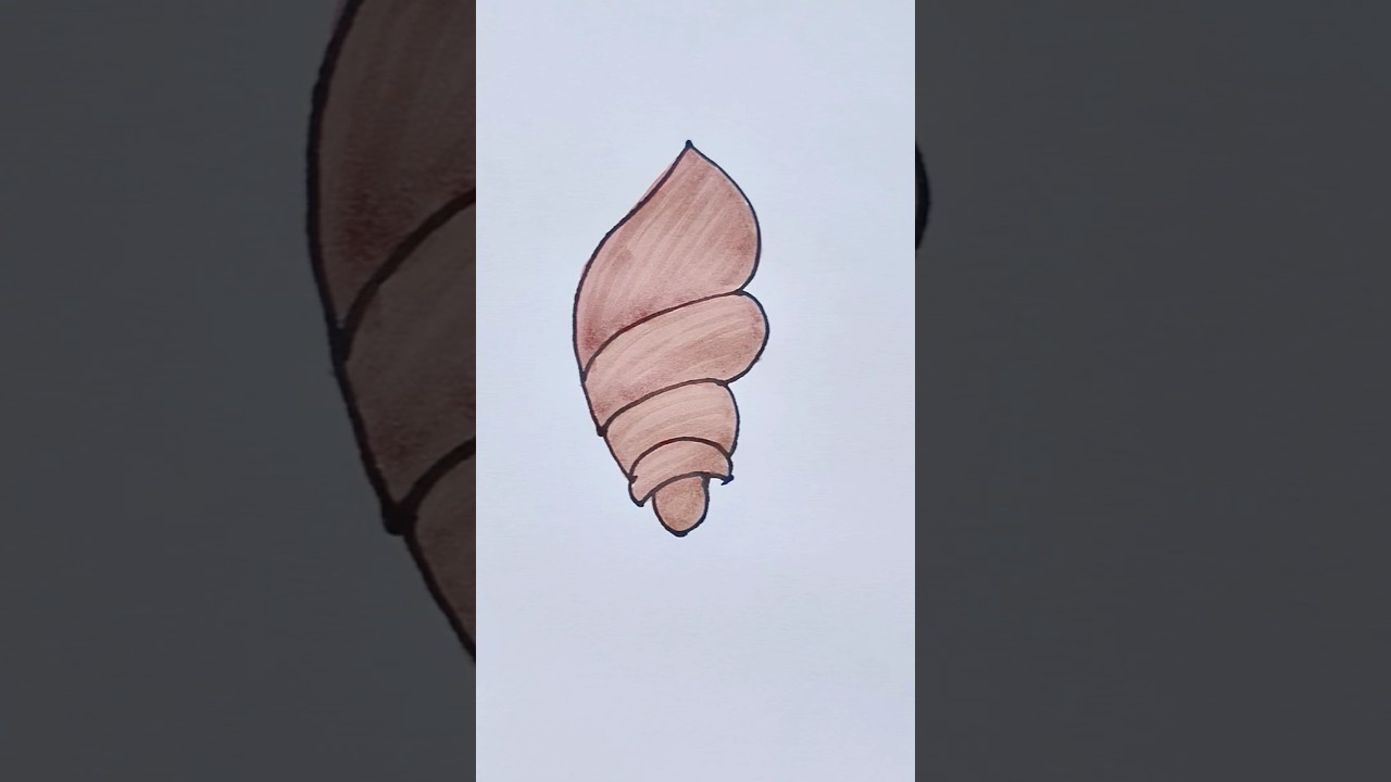 Shell 🐚 Drawing for kids 