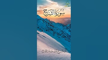 ارح قلبك || تلاوة خاشعة للقارئ إسلام صبحي || سورة الحشر ♥