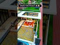 Dream Courtyard Makeover
