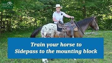 Train your horse to sidepass to the mounting block.  A step by step video series.