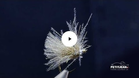 MP 2504 by Marc Petitjean