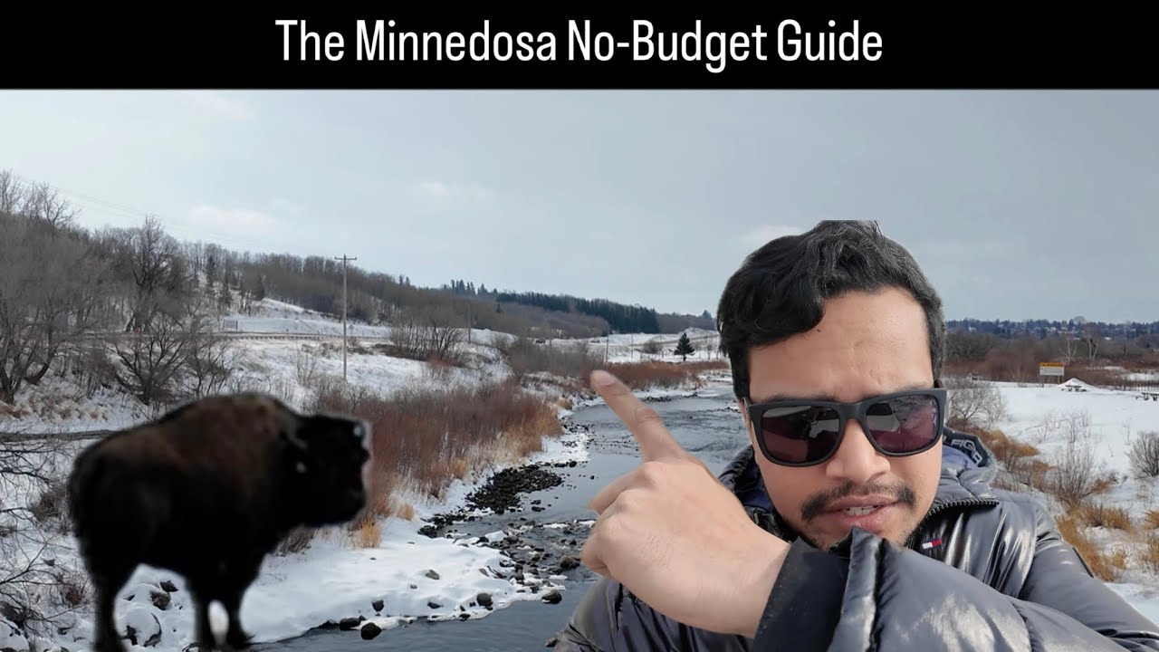 The $0 Manitoba Day Trip: Bison & Frozen Dams