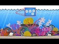 Ocean Chemistry and Carbonate Dynamics