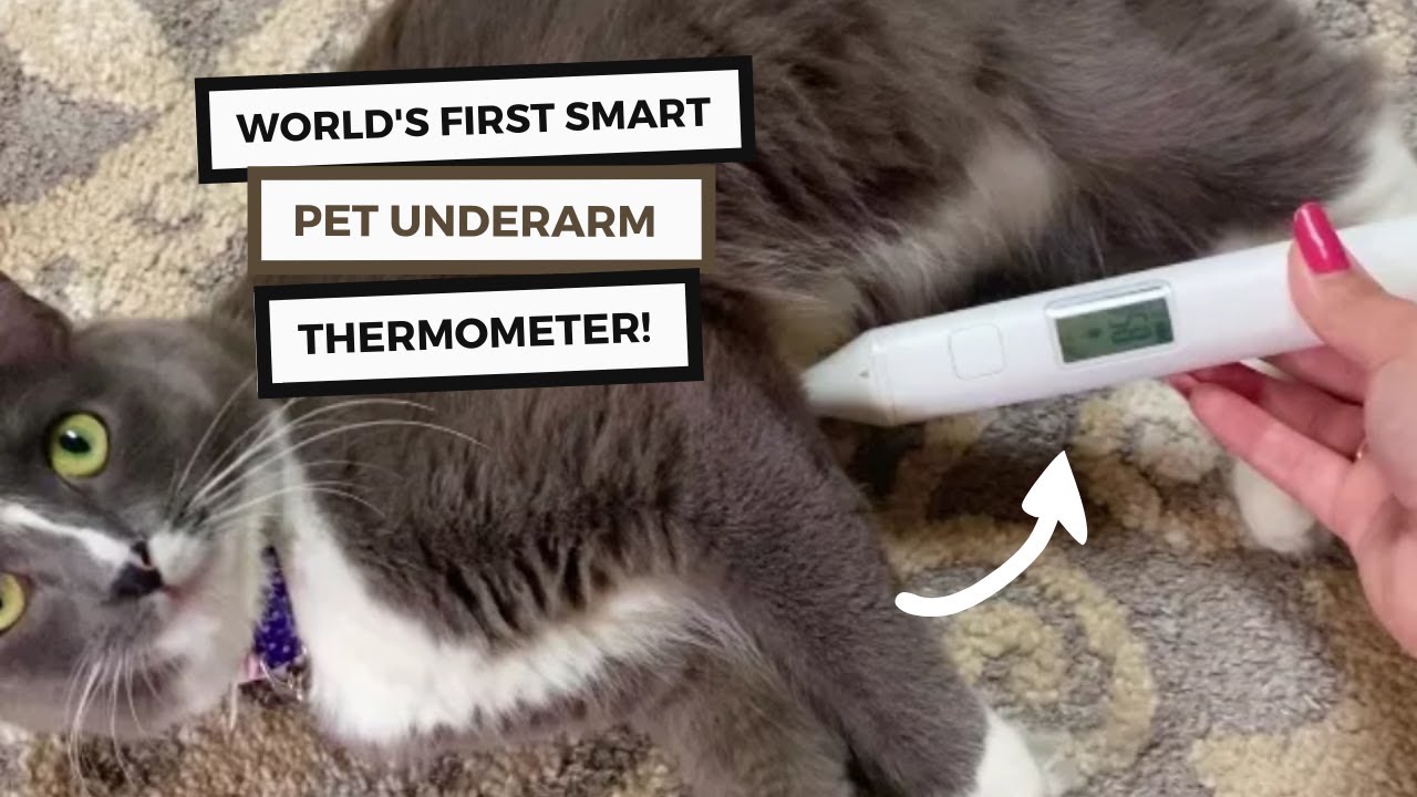 Mella Home Pet Thermometer