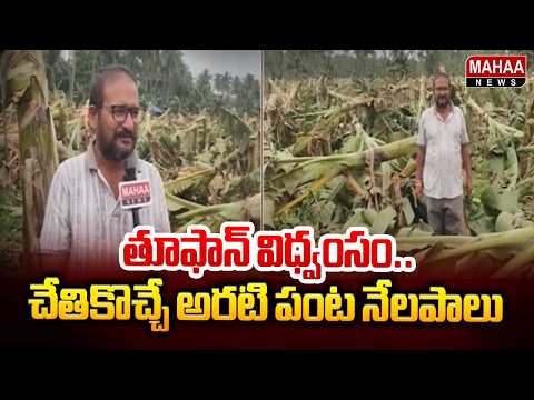 Eluru: తూఫాన్ విధ్వంసం.. చేతికొచ్చే అరటి పంట నేలపాలు | Banana Plantations Destroyed by Cyclone Arnab