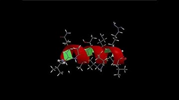 Polypeptide Chain and Alpha Helix as Secondary Protein Structure