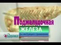 Как ухаживать за поджелудочной железой.flv