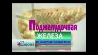 Как ухаживать за поджелудочной железой.flv