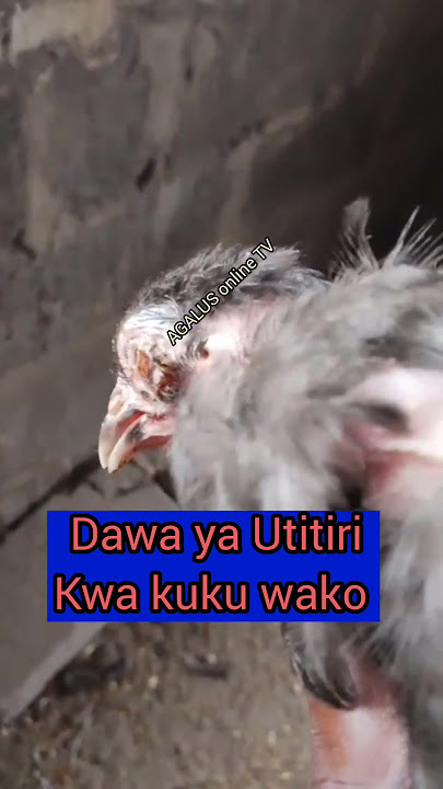 Dawa ya Utitiri na viroboto