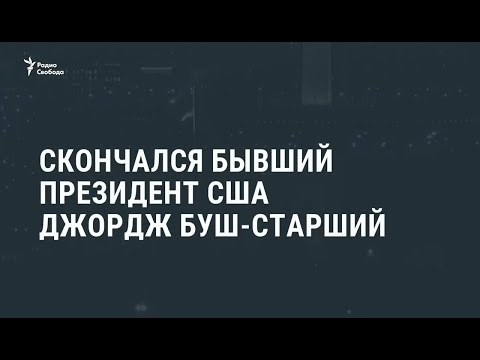 Видео: Бывший пес Барни Буш умер в 12 лет