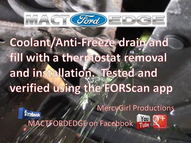 Motorcraft® - Ford Edge 2013 Mercon LV Automatic Transmission Fluid