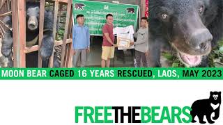 Endangered moon bear rescued from 16 years in a cage, Laos!