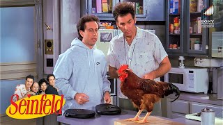 Jerry and Kramer Engage in Cock Fight & George Owes Money to Jerry's Date | Seinfeld