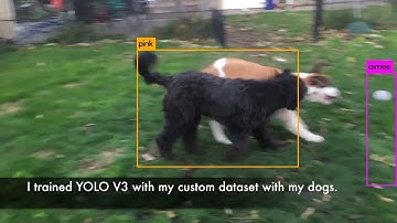 Custom Object Detection with YOLOv3