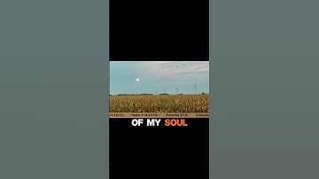 If You Can’t Compete with Horses, Beware #substack #shorts