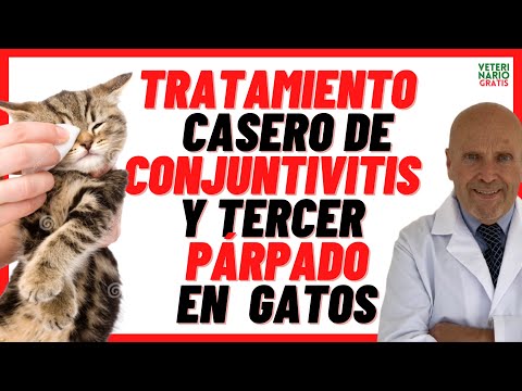 Video: Remedios caseros para problemas de ojo de gato