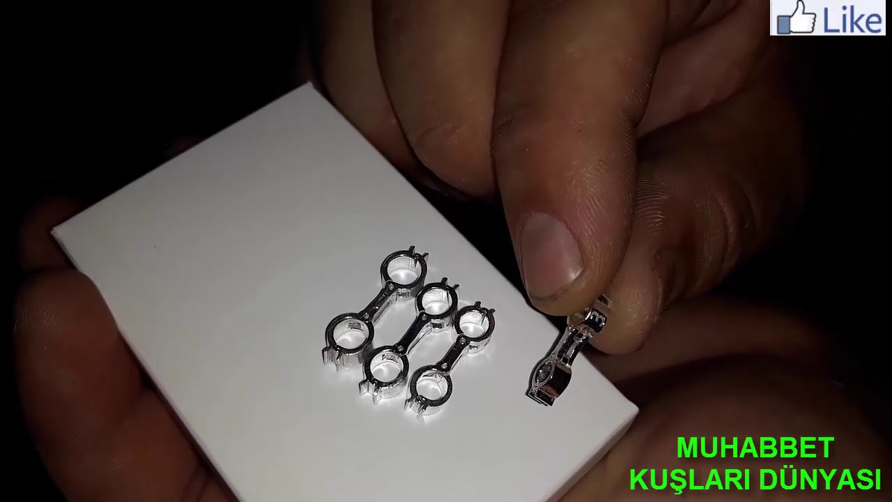 Muhabbet Kuşlarında Çarpık Bacak Tedavisinde Süper Çözüm