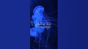 قران كريم بصوت جميل #قرآن #قران_كريم #quran