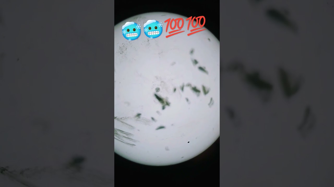 real vs fake Neptune video 