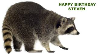 Steven - Animals - Happy Birthday