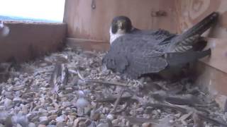 20140523 08 33 06