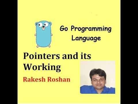 Go Programming Tutorial : Pointers and its working